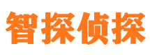 桃源侦探公司